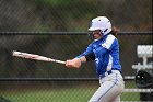Softball vs Babson  Wheaton College Softball vs Babson College. - Photo by Keith Nordstrom : Wheaton, Softball, Babson, NEWMAC